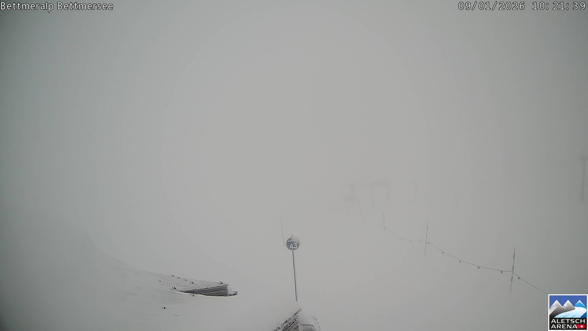 Archiv Foto Webcam Bettmersee