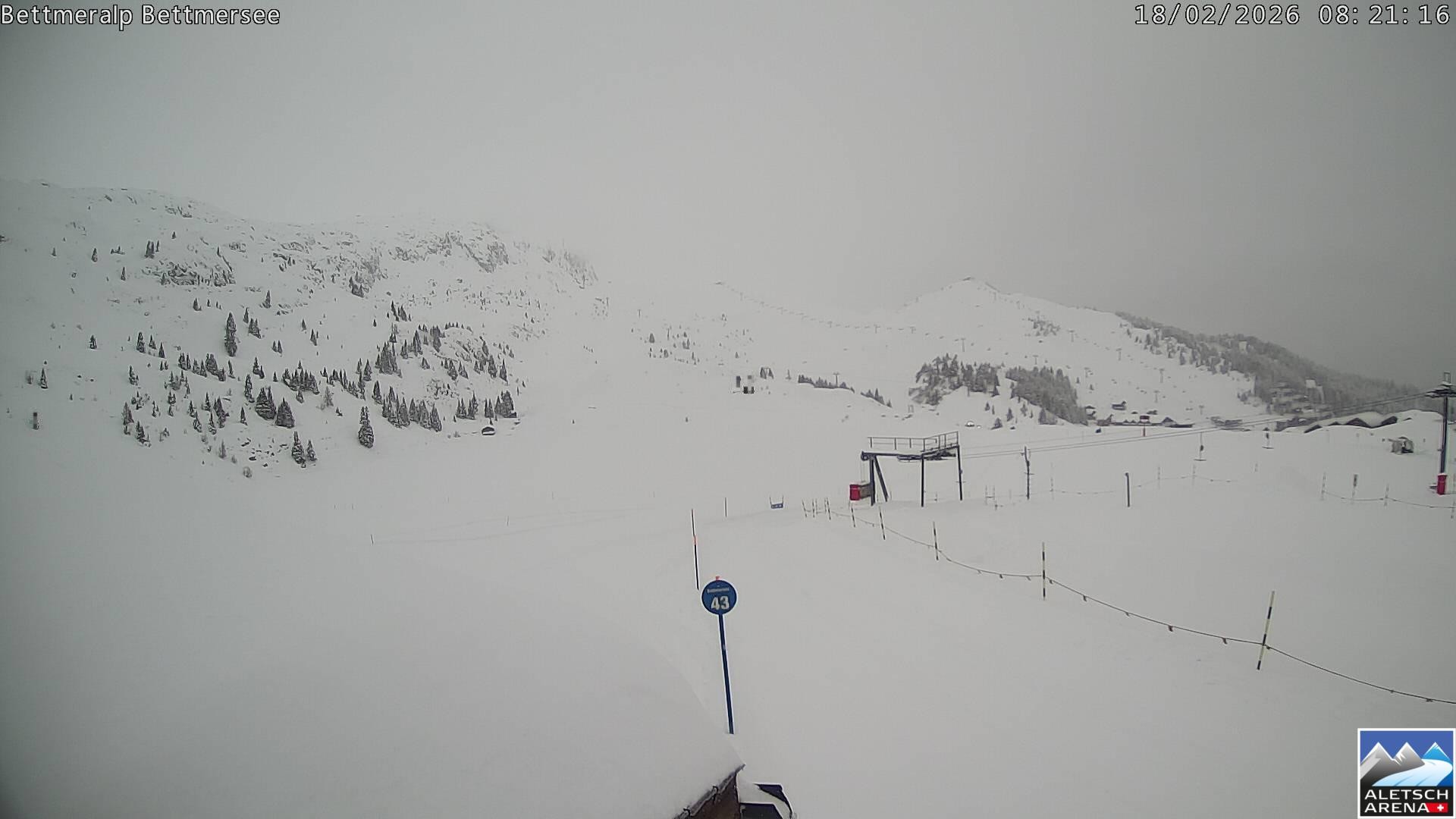 Archiv Foto Webcam Bettmersee