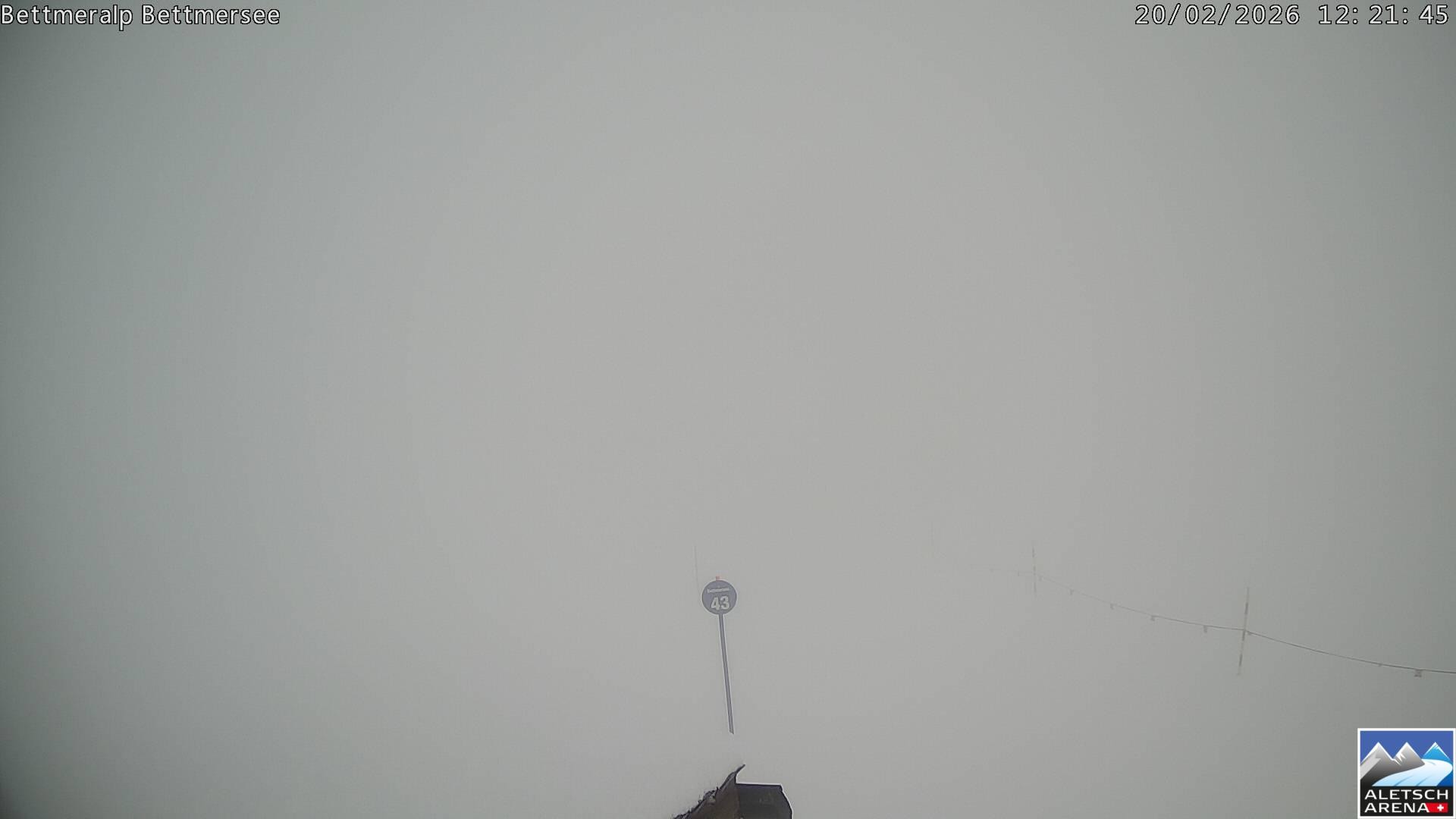 Archiv Foto Webcam Bettmersee