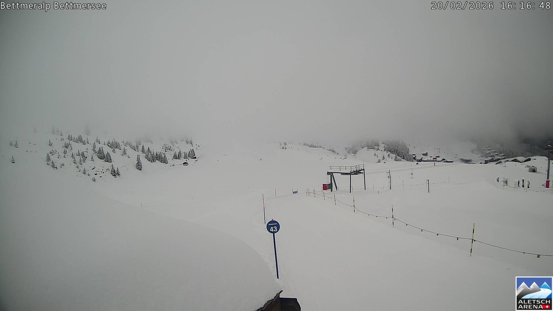 Archiv Foto Webcam Bettmersee