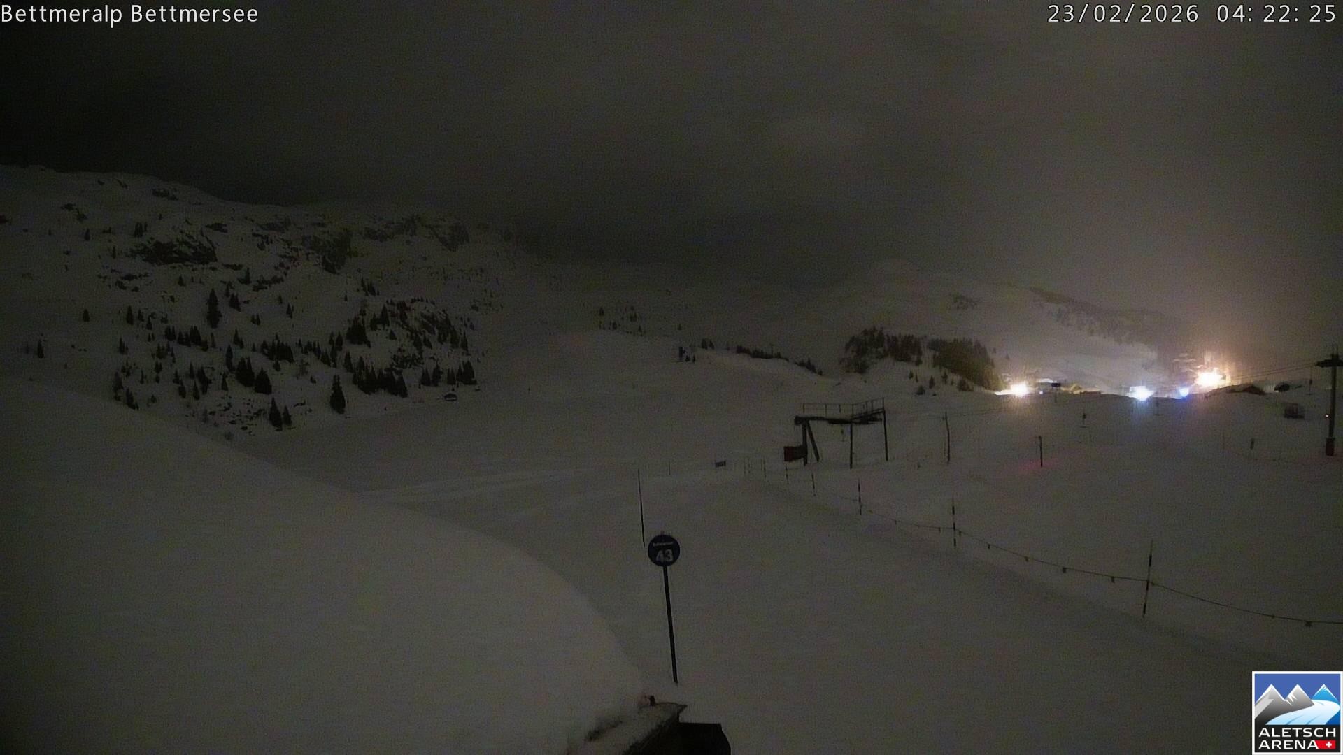 Archived image Webcam Bettmersee, Schweiz