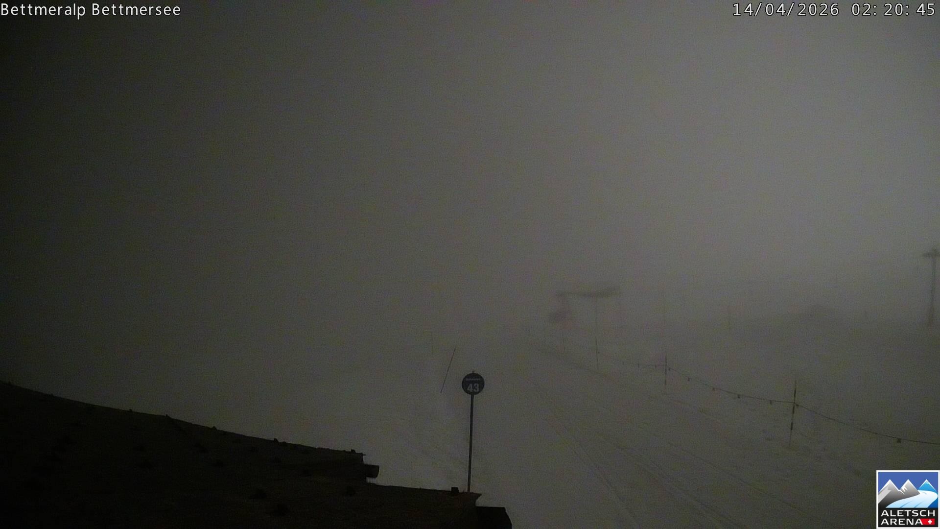 Archived image Webcam Bettmersee, Schweiz