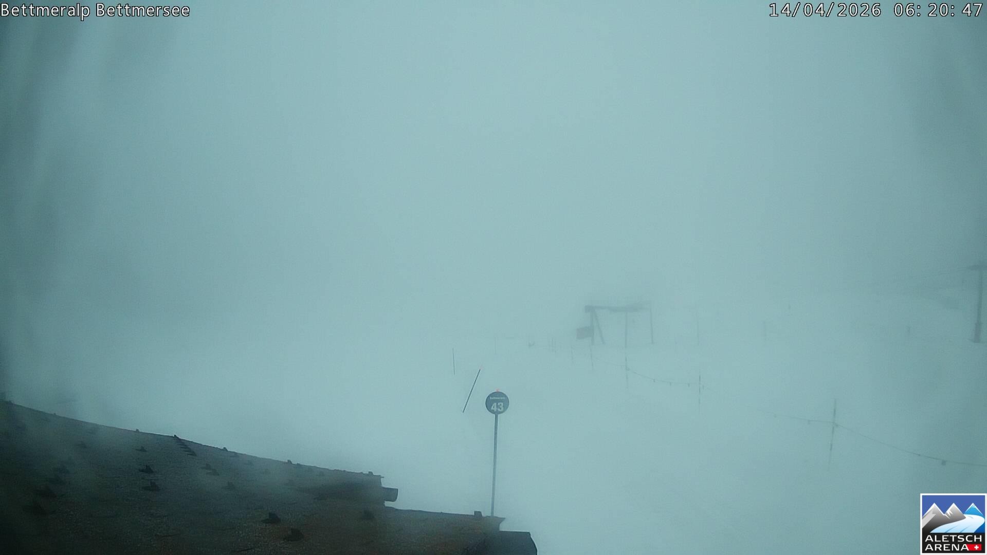 Archived image Webcam Bettmersee, Schweiz