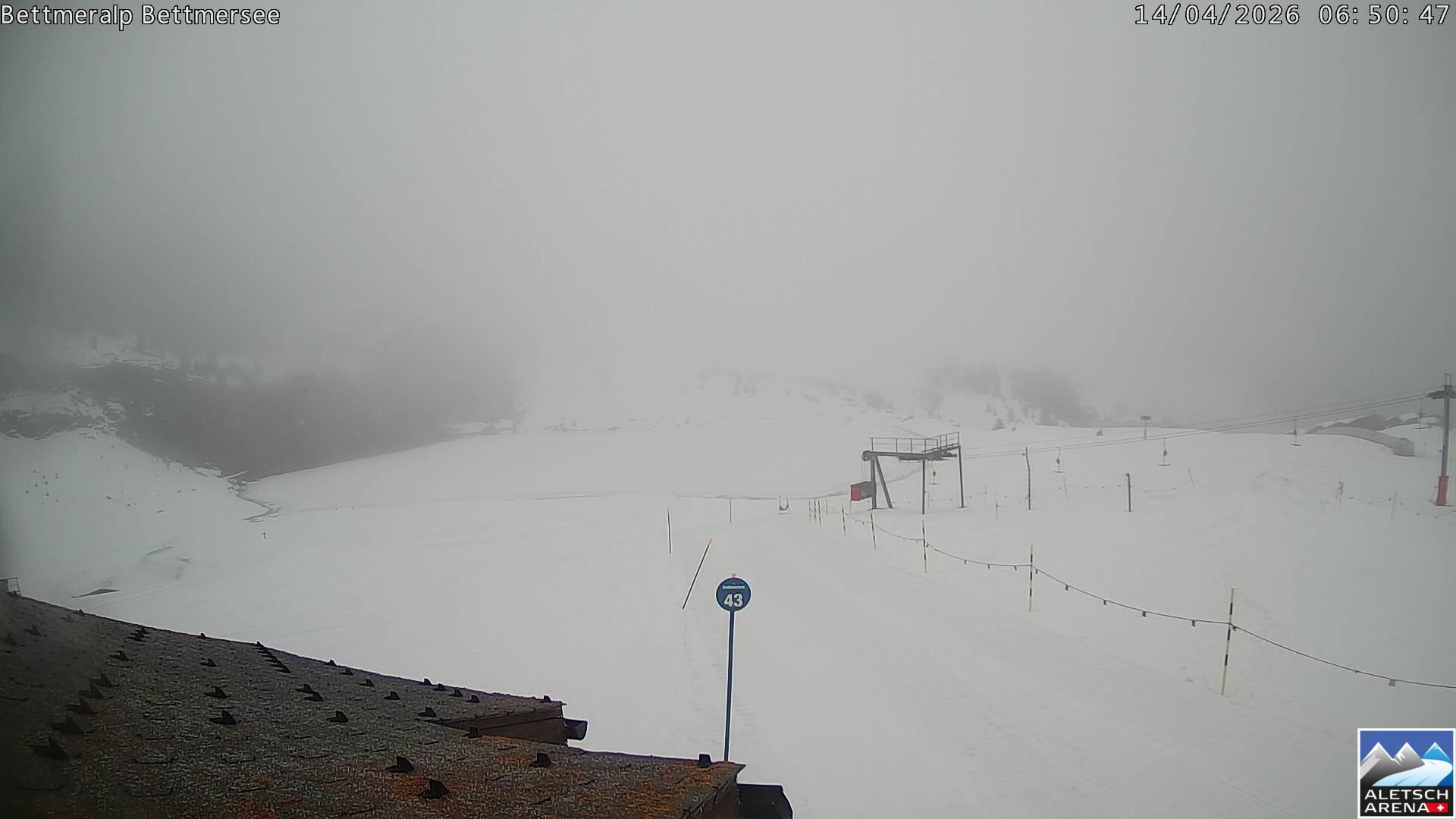 Archived image Webcam Bettmersee, Schweiz