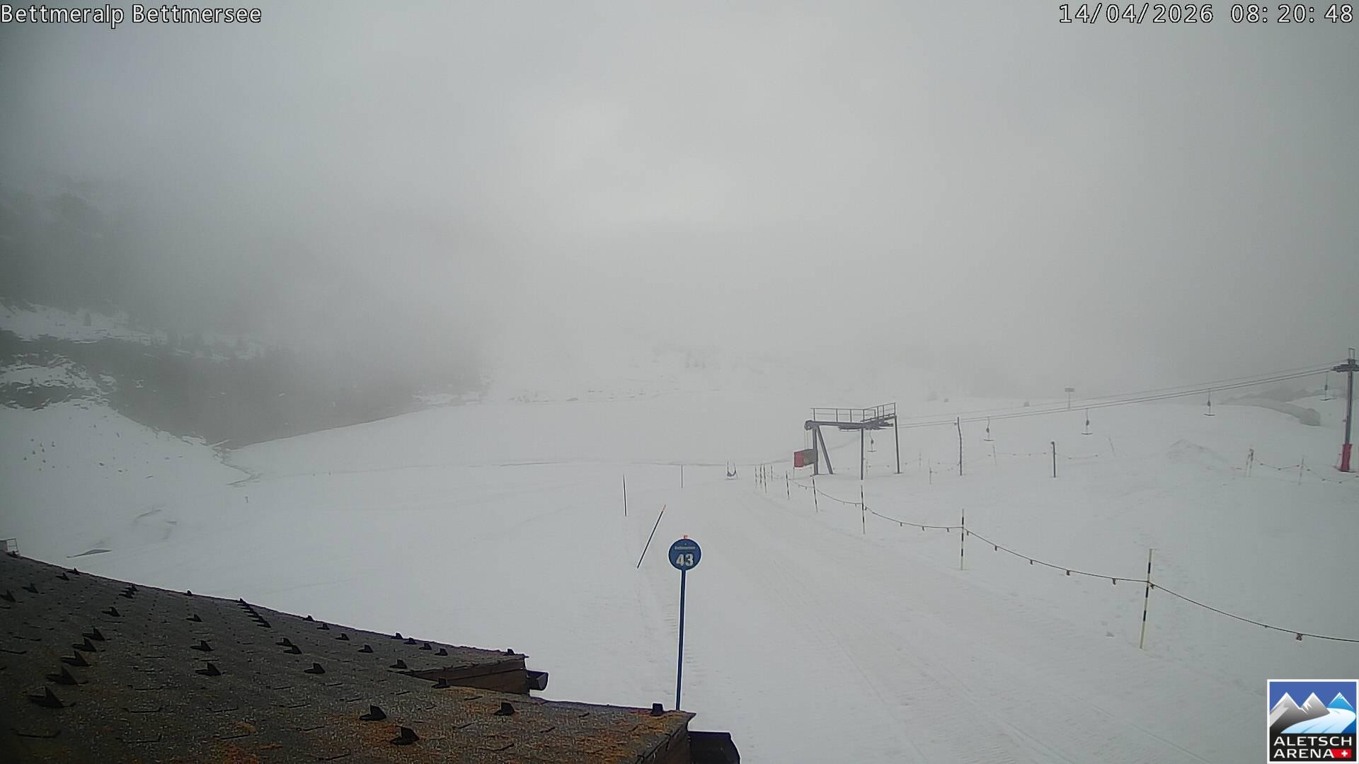 Archived image Webcam Bettmersee, Schweiz