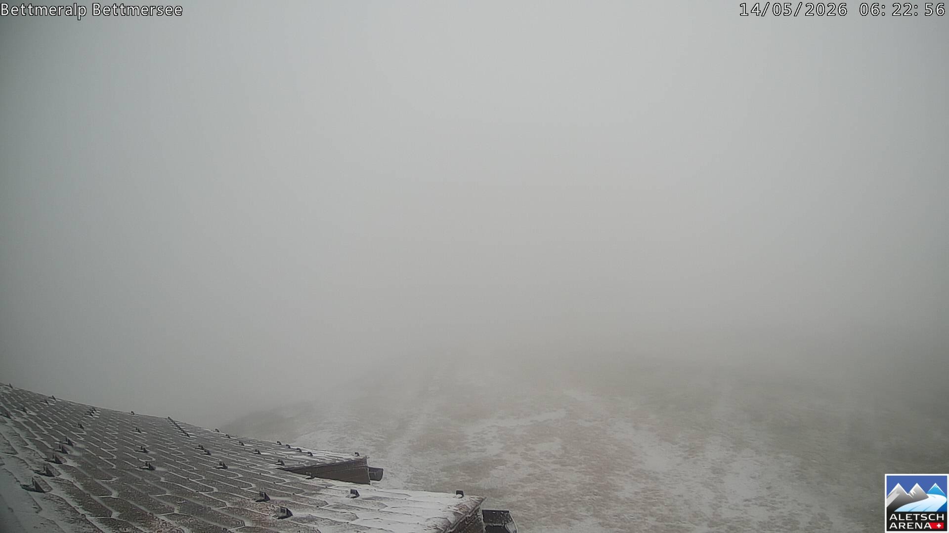Archived image Webcam Bettmersee, Schweiz