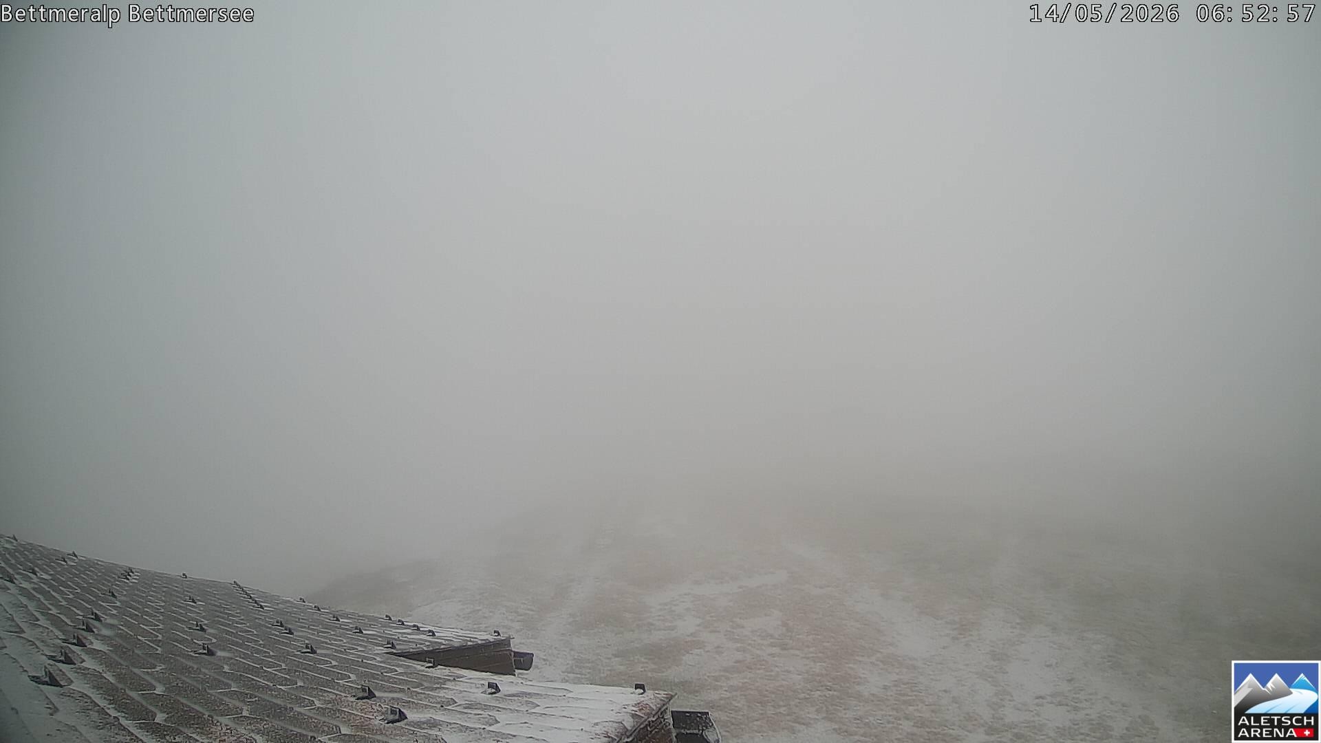 Archived image Webcam Bettmersee, Schweiz