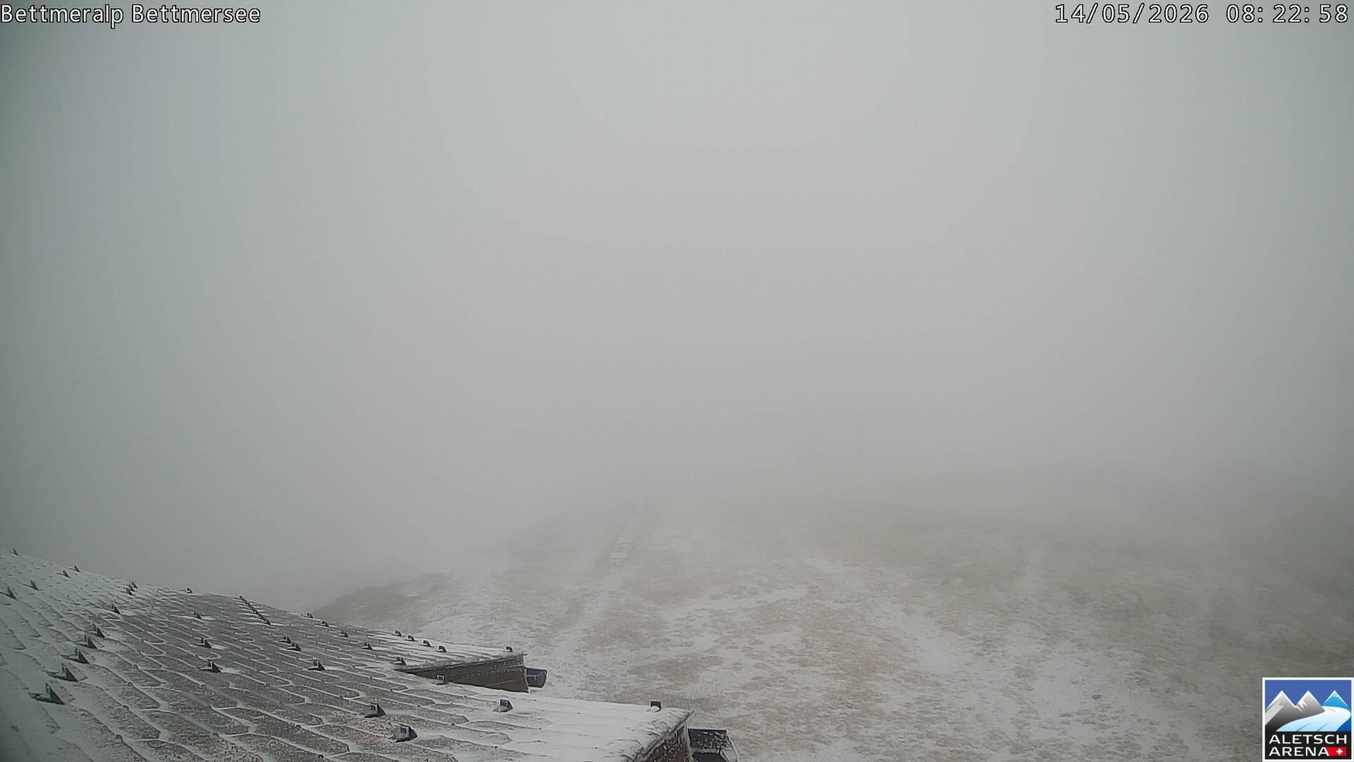 Archived image Webcam Bettmersee, Schweiz