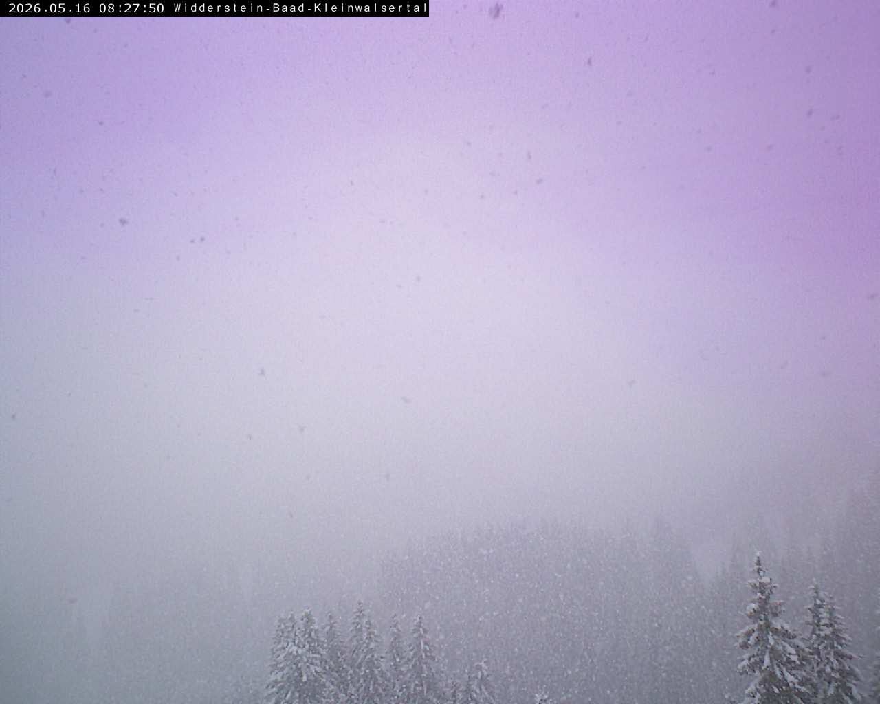 Archiv Foto Webcam Baad Starzelhaus