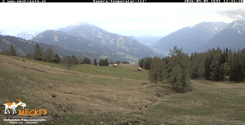 Archiv Foto Webcam Blick von Mecki's Alm Hütte auf der Faschingalm