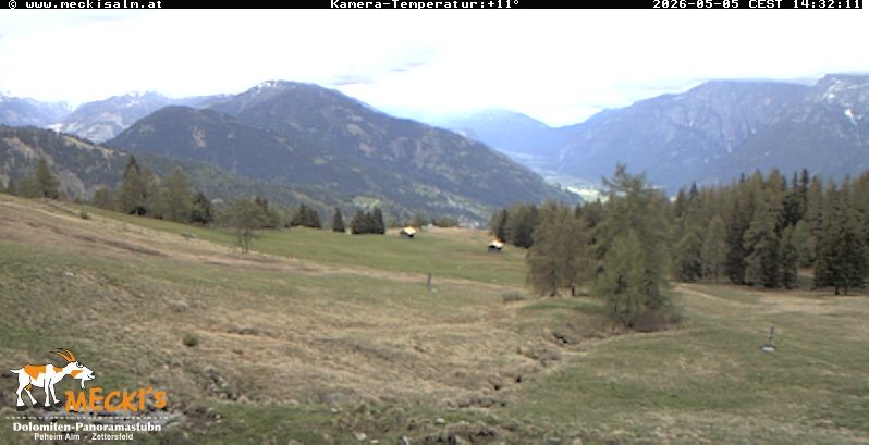 Archiv Foto Webcam Blick von Mecki's Alm Hütte auf der Faschingalm