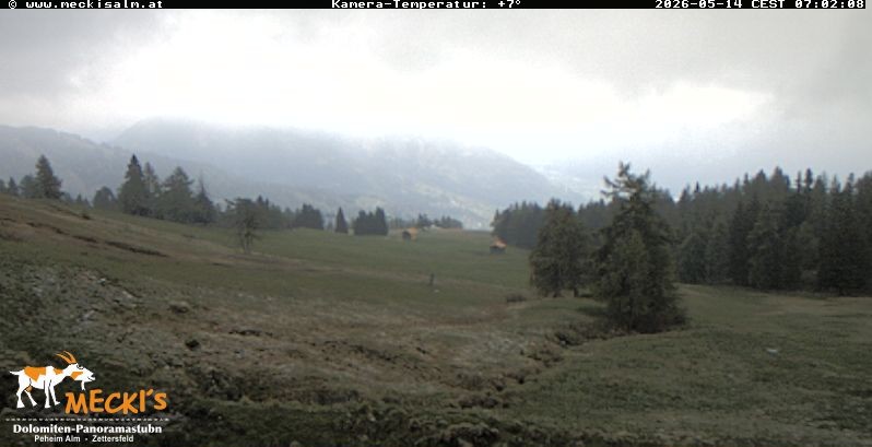 Archiv Foto Webcam Blick von Mecki's Alm Hütte auf der Faschingalm