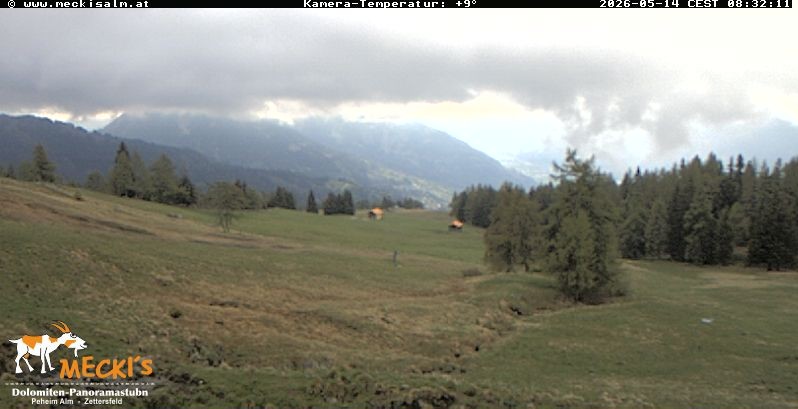 Archiv Foto Webcam Blick von Mecki's Alm Hütte auf der Faschingalm