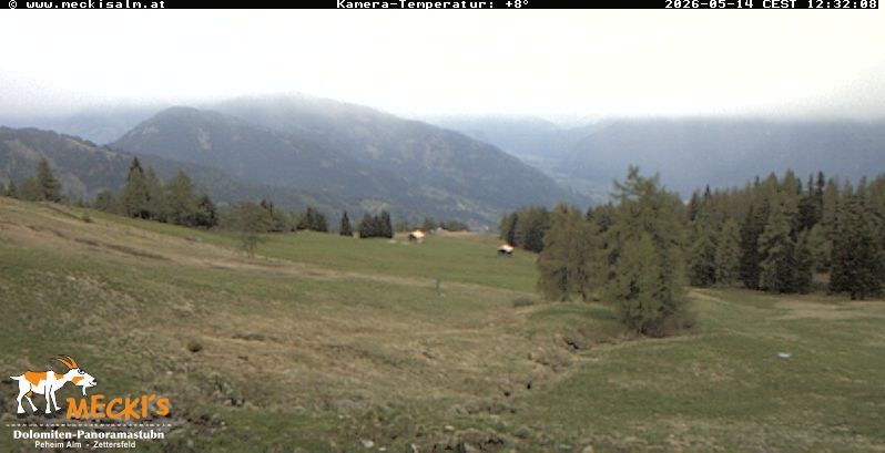 Archiv Foto Webcam Blick von Mecki's Alm Hütte auf der Faschingalm