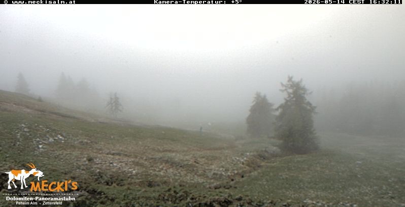 Archiv Foto Webcam Blick von Mecki's Alm Hütte auf der Faschingalm