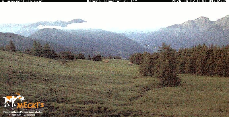 Archiv Foto Webcam Blick von Mecki's Alm Hütte auf der Faschingalm