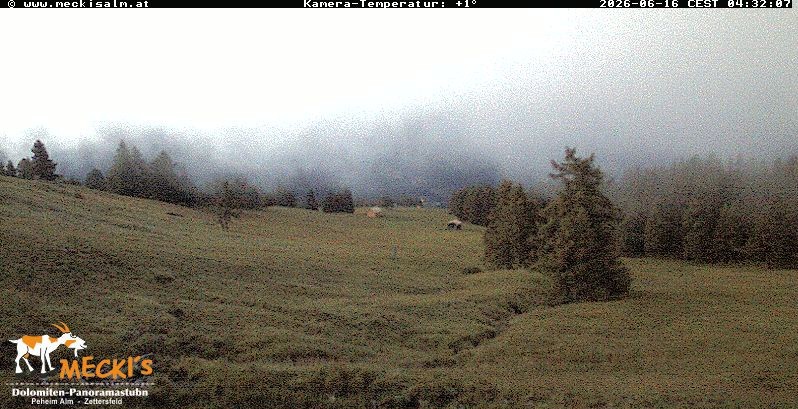 Archiv Foto Webcam Blick von Mecki's Alm Hütte auf der Faschingalm