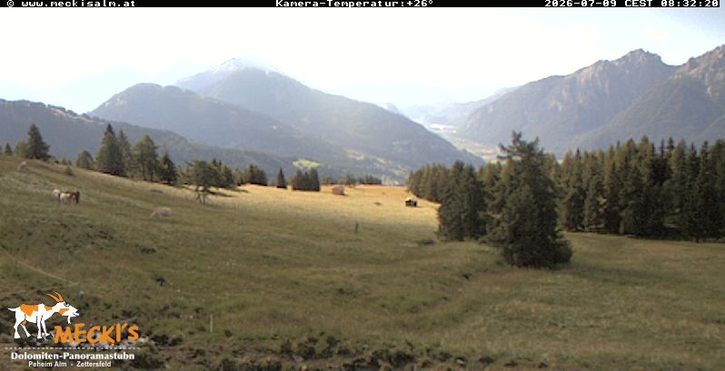 Archiv Foto Webcam Blick von Mecki's Alm Hütte auf der Faschingalm
