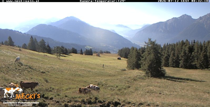 Archiv Foto Webcam Blick von Mecki's Alm Hütte auf der Faschingalm
