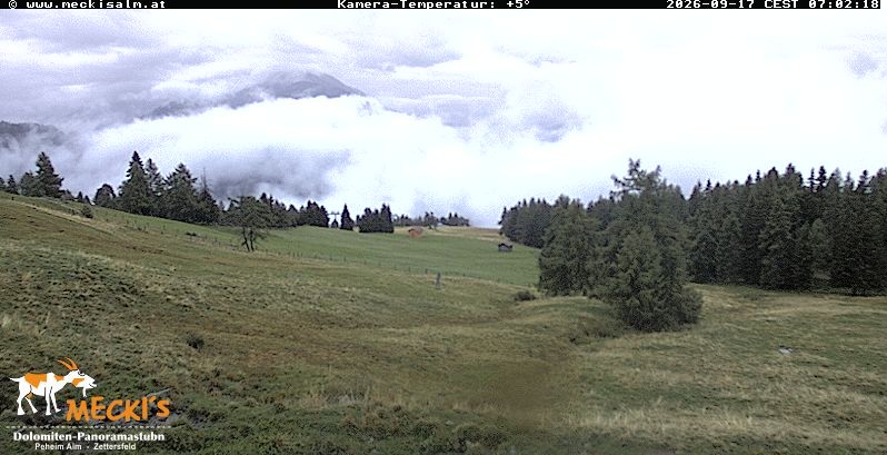 Archiv Foto Webcam Blick von Mecki's Alm Hütte auf der Faschingalm