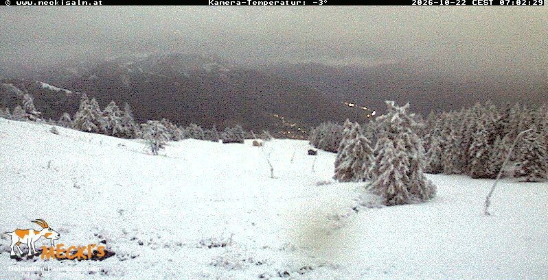 Archiv Foto Webcam Blick von Mecki's Alm Hütte auf der Faschingalm