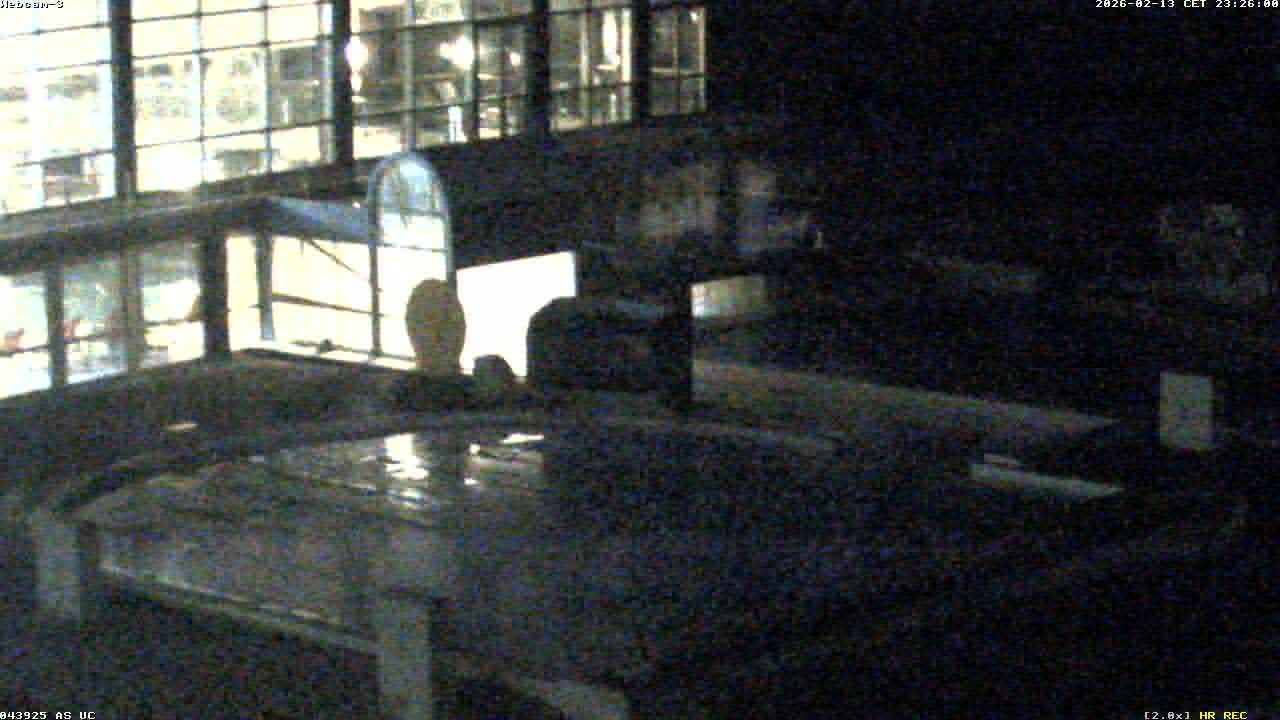 Archiv Foto Webcam Bad Füssing: Johannesbad-Therme Felsenlagune