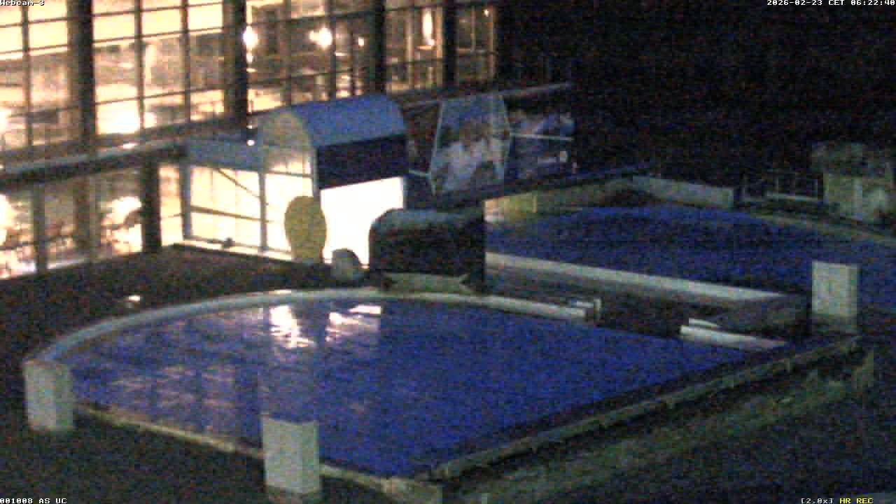 Archiv Foto Webcam Bad Füssing: Johannesbad-Therme Felsenlagune