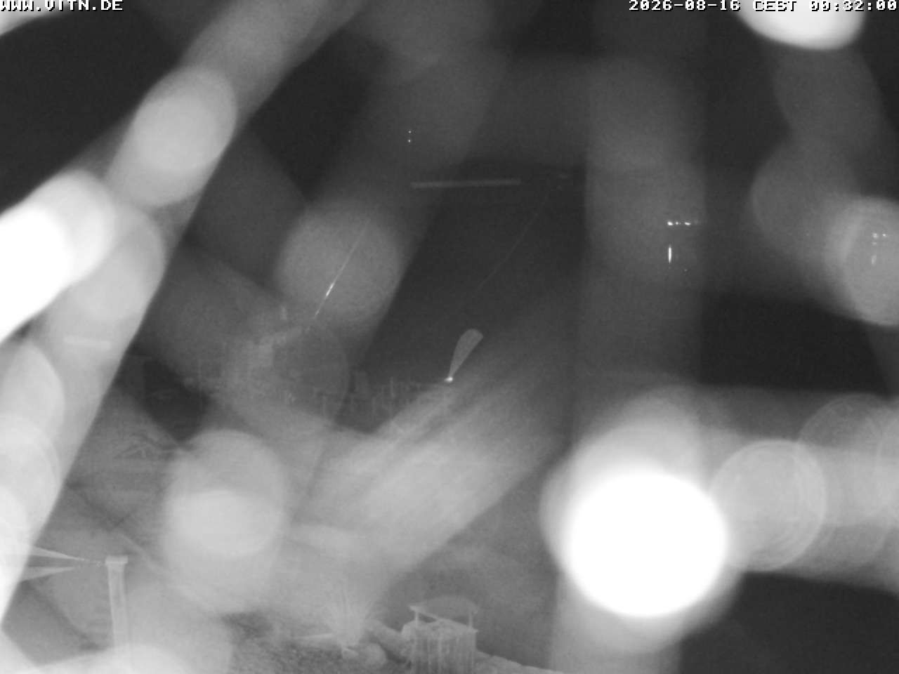 Archiv Foto Webcam Wakeboard- und Wasserskianlage am Steinberger See