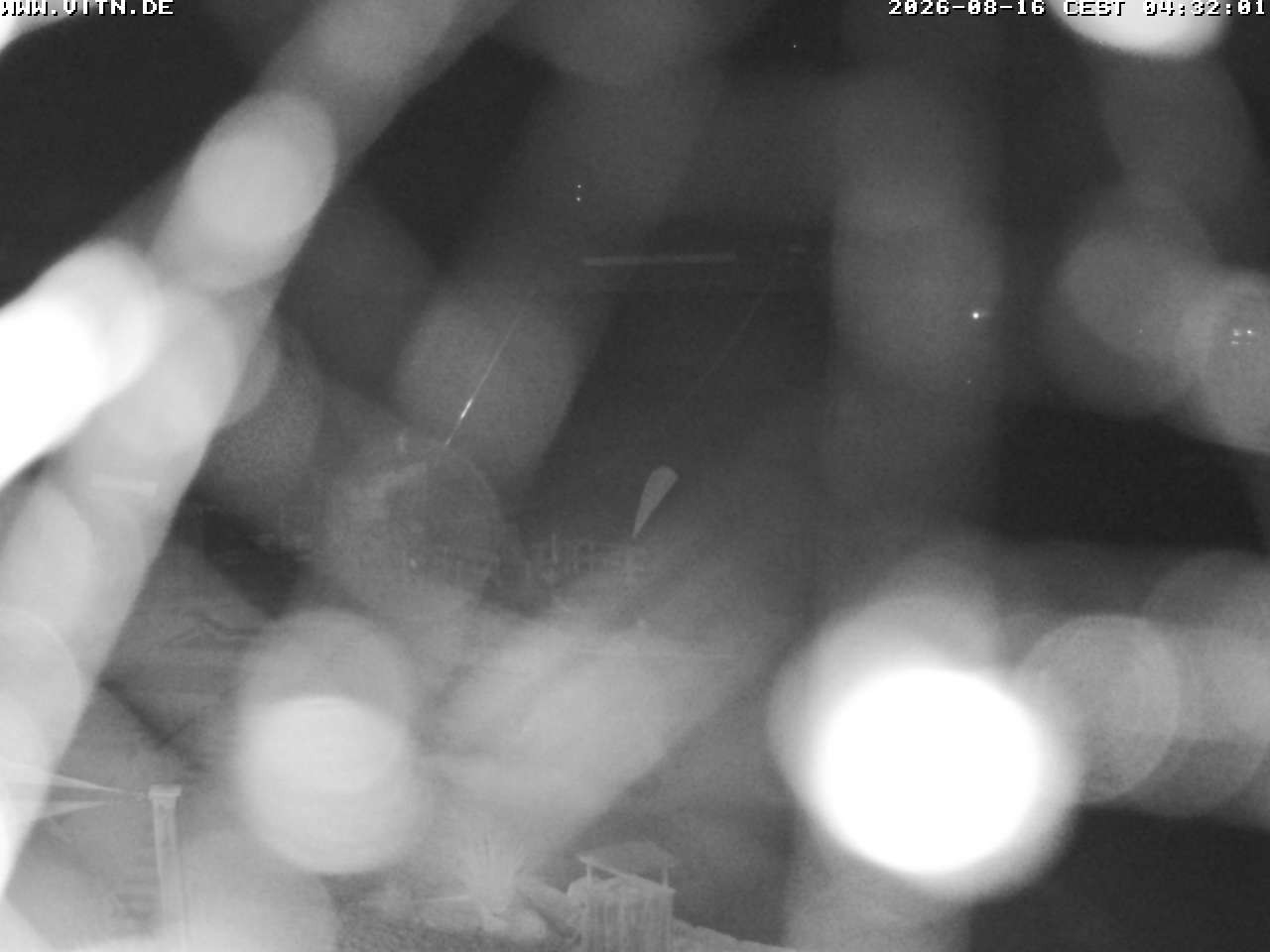 Archiv Foto Webcam Wakeboard- und Wasserskianlage am Steinberger See
