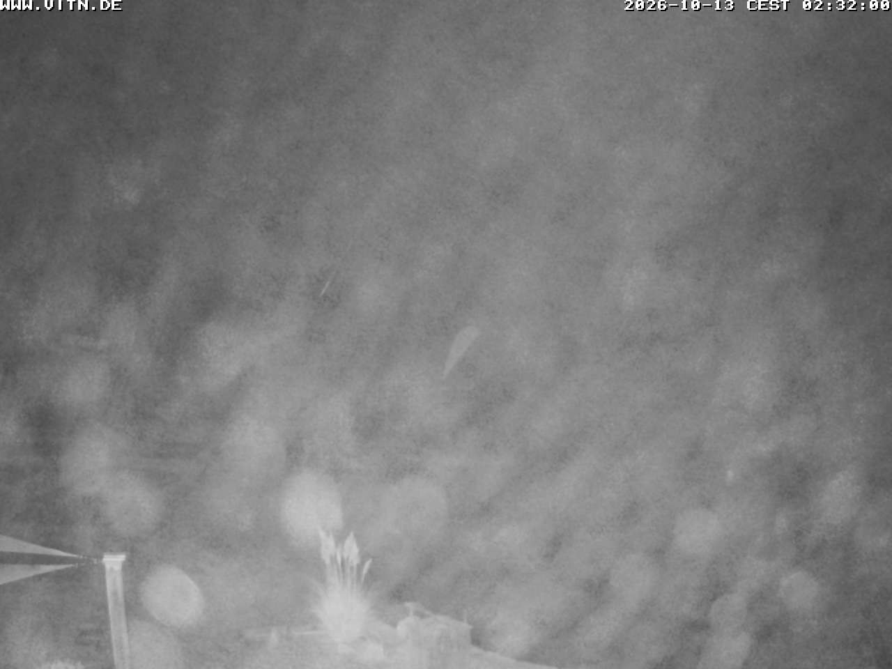 Archiv Foto Webcam Wakeboard- und Wasserskianlage am Steinberger See