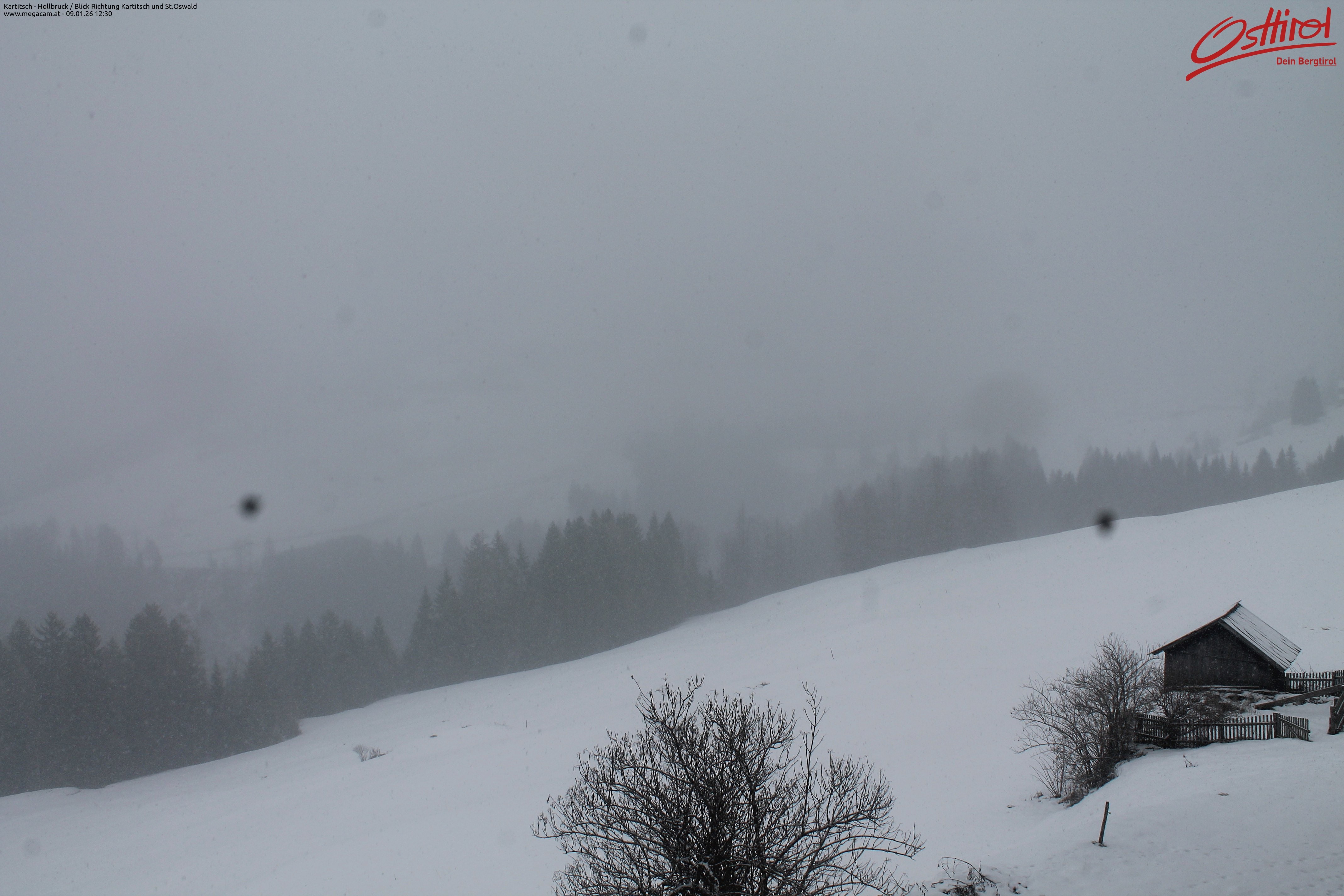 Archiv Foto Webcam Kartitsch - Osttirol