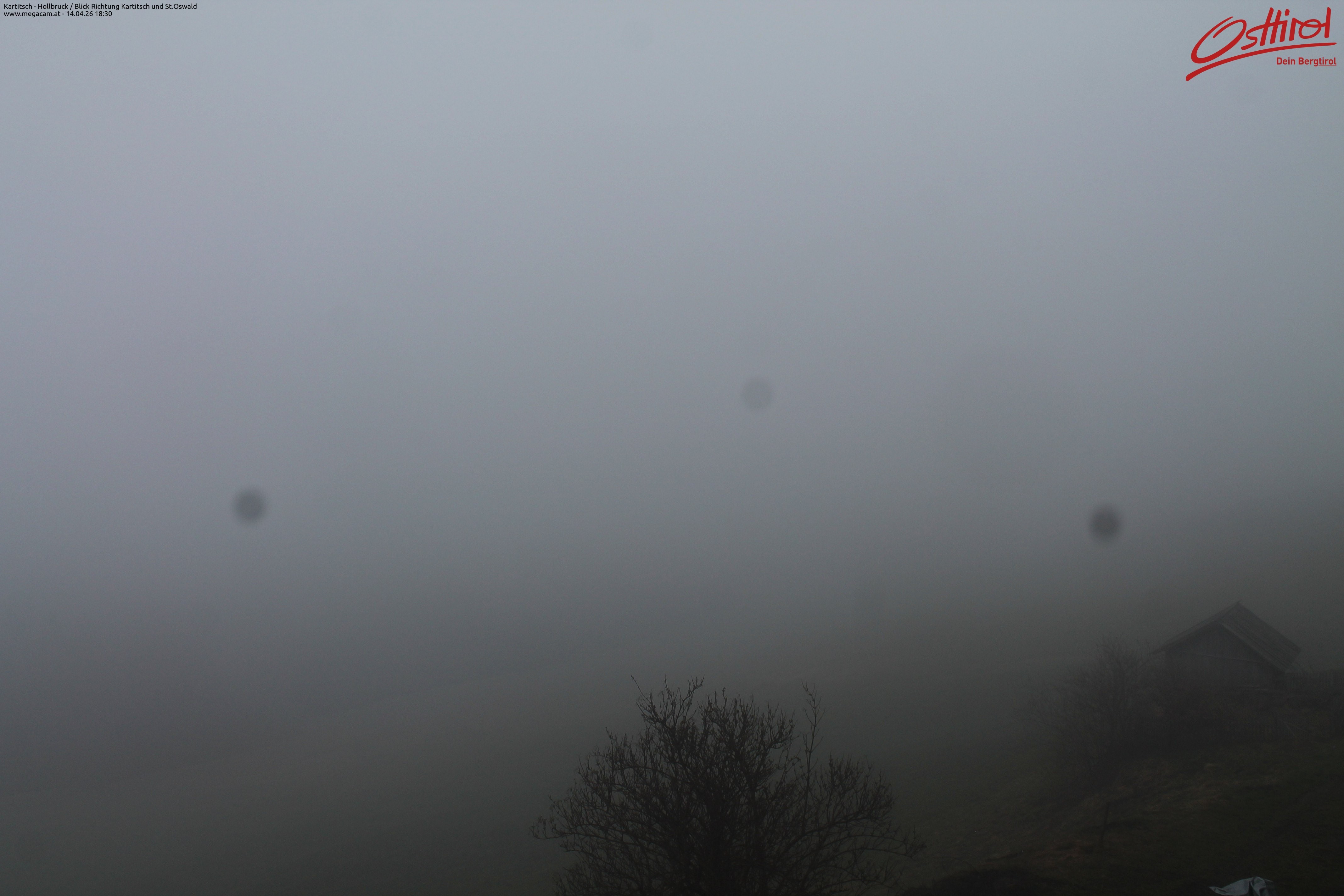 Archiv Foto Webcam Kartitsch - Osttirol