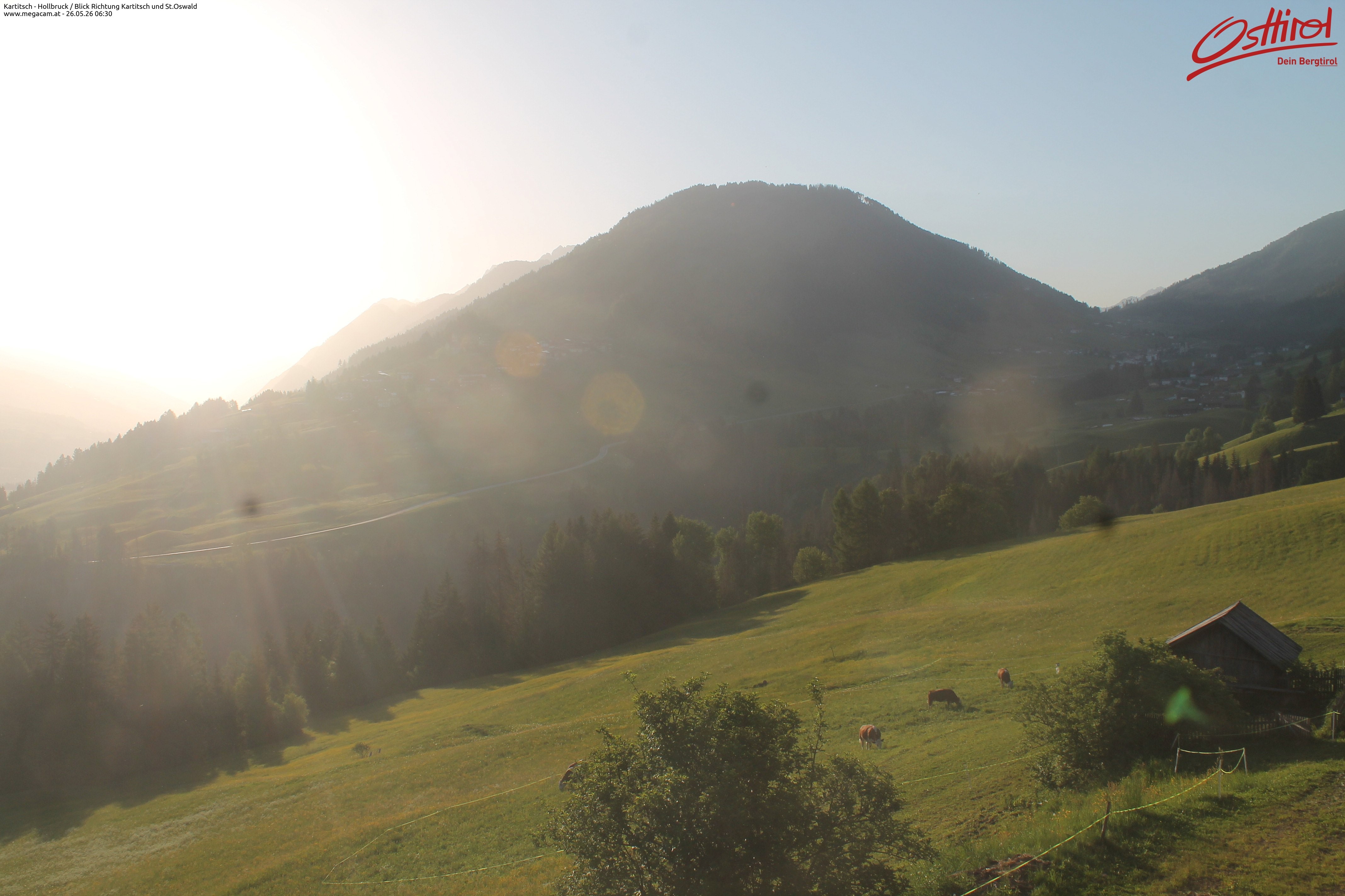 Archiv Foto Webcam Kartitsch - Osttirol