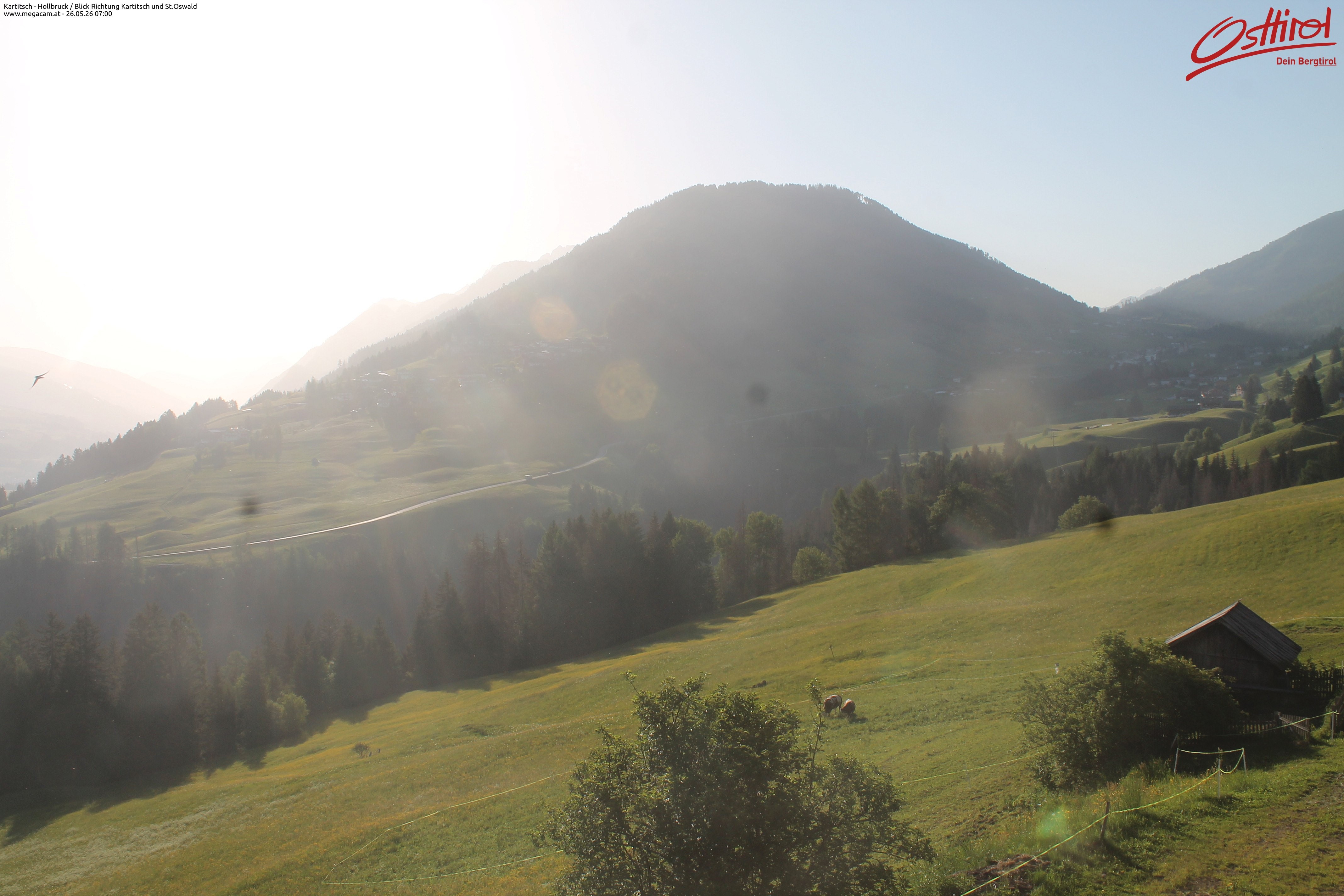 Archiv Foto Webcam Kartitsch - Osttirol