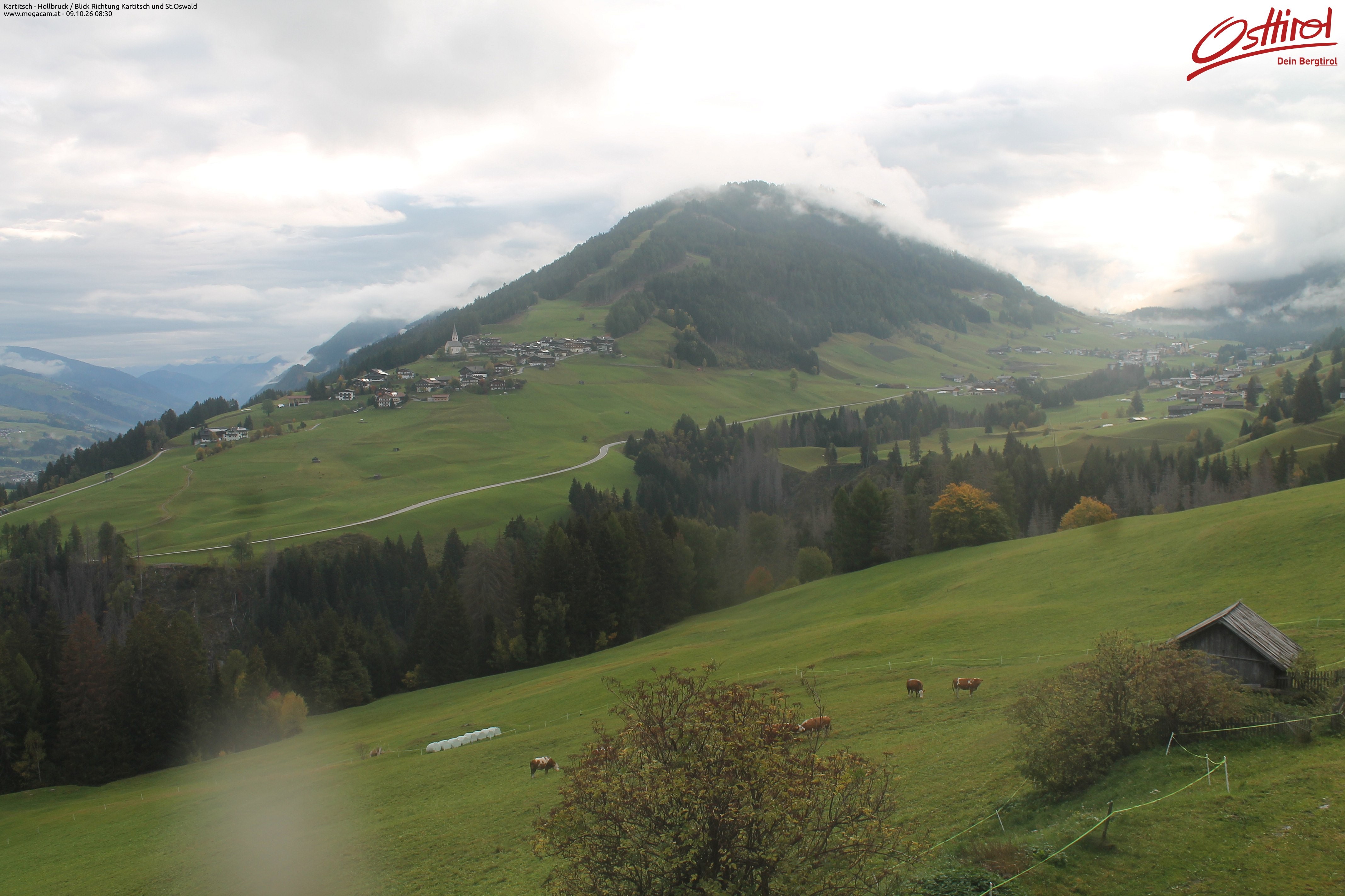 Archiv Foto Webcam Kartitsch - Osttirol