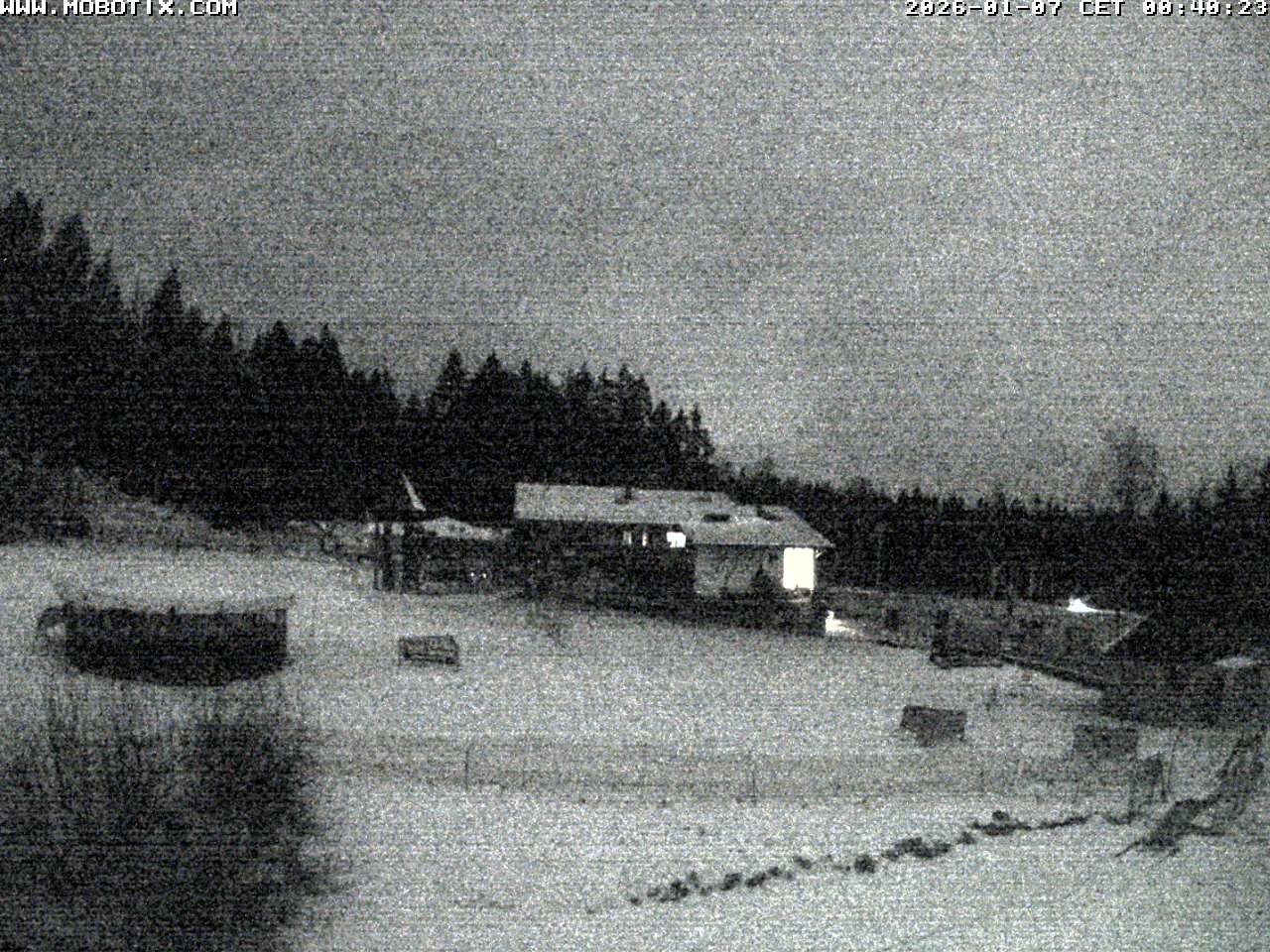 Archiv Foto Webcam Blick zur Talstation am Hohenbogen