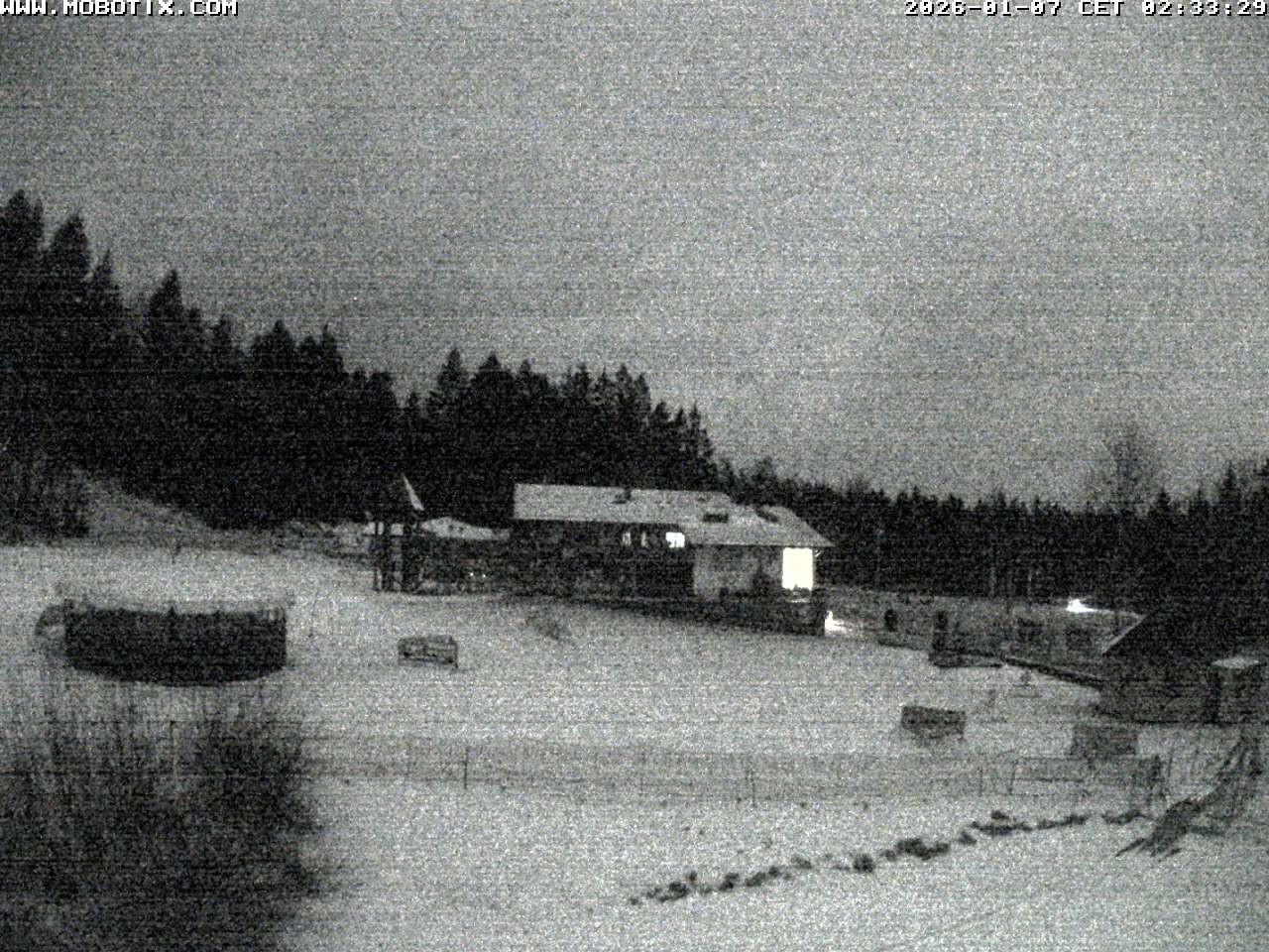 Archiv Foto Webcam Blick zur Talstation am Hohenbogen