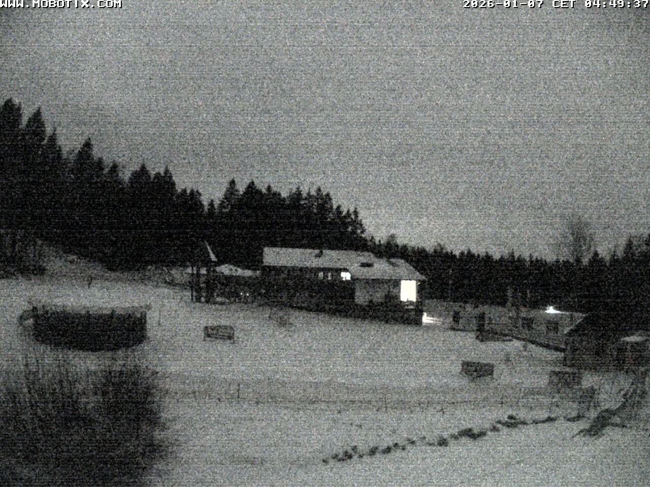 Archiv Foto Webcam Blick zur Talstation am Hohenbogen