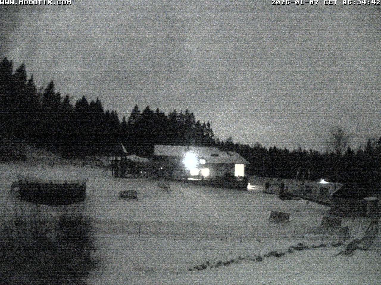 Archiv Foto Webcam Blick zur Talstation am Hohenbogen