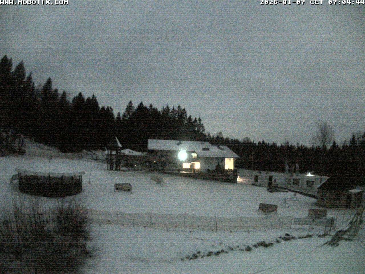 Archiv Foto Webcam Blick zur Talstation am Hohenbogen