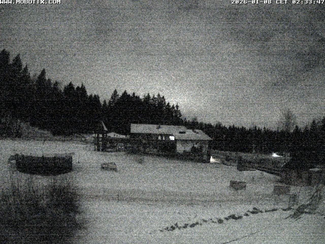 Archiv Foto Webcam Blick zur Talstation am Hohenbogen