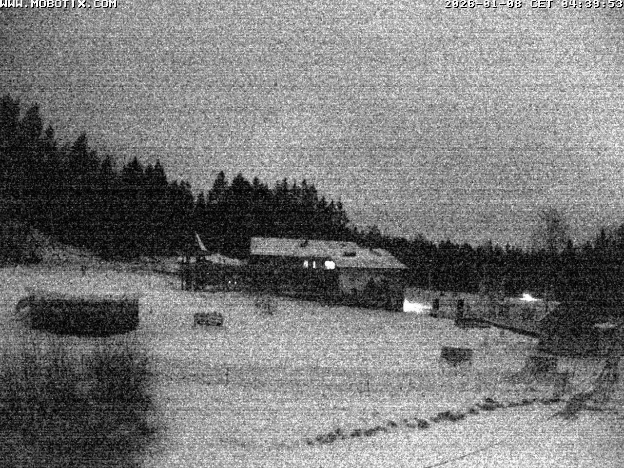 Archiv Foto Webcam Blick zur Talstation am Hohenbogen