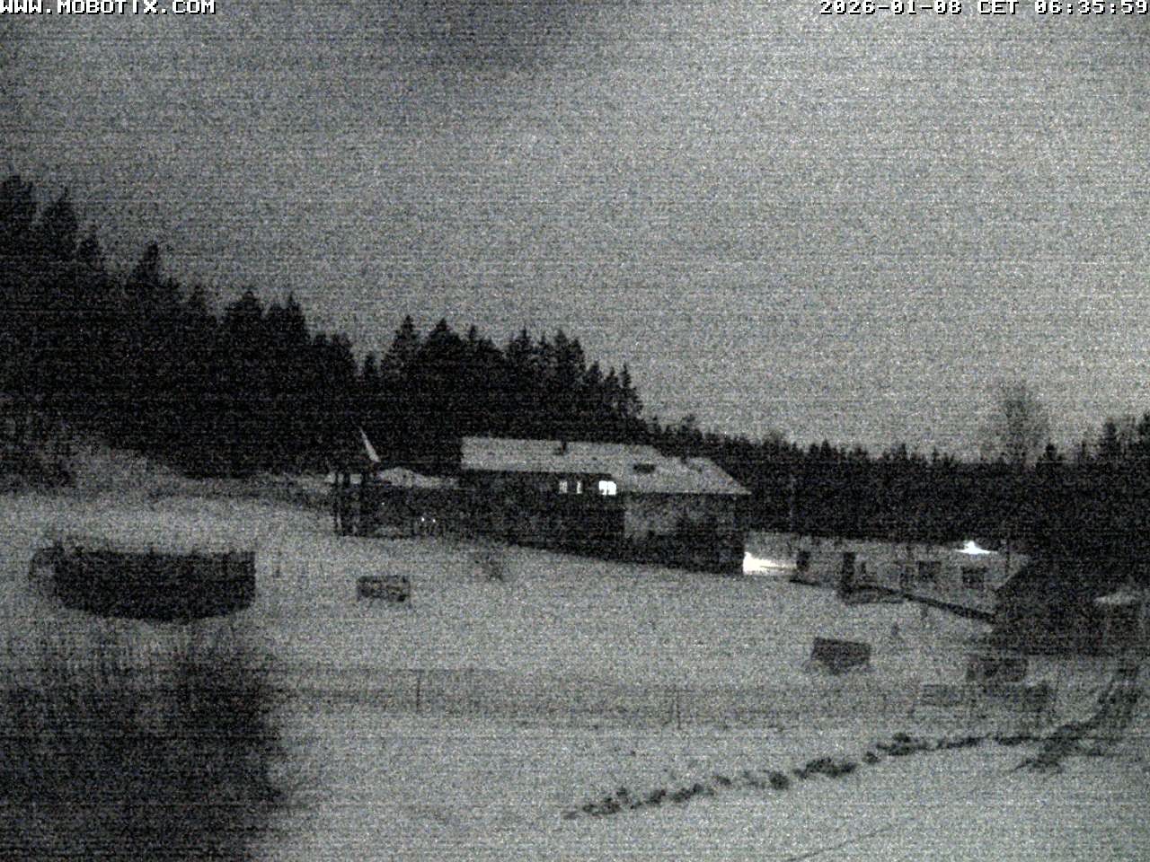 Archiv Foto Webcam Blick zur Talstation am Hohenbogen