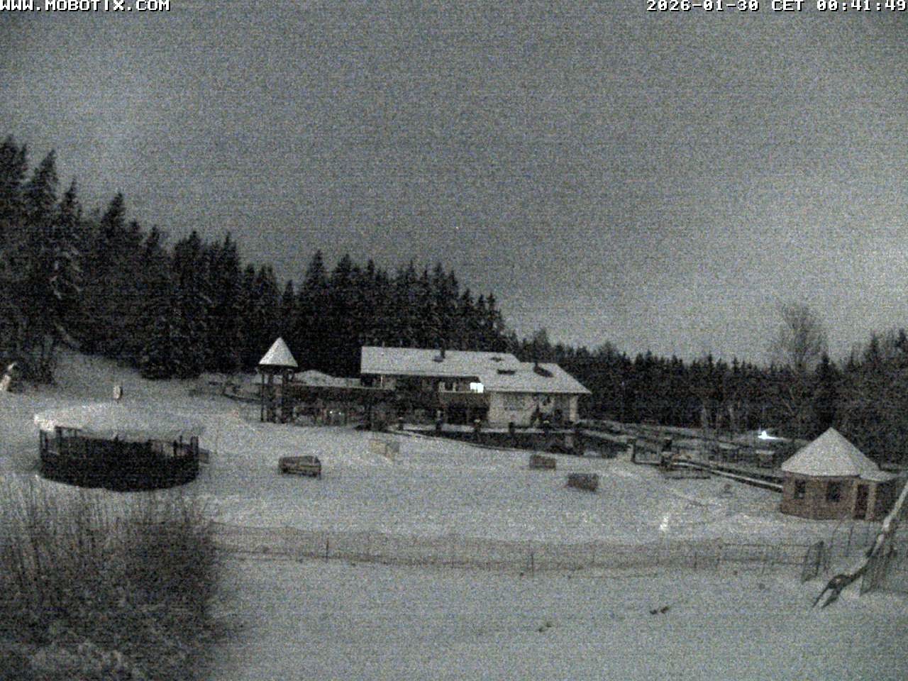 Archiv Foto Webcam Blick zur Talstation am Hohenbogen