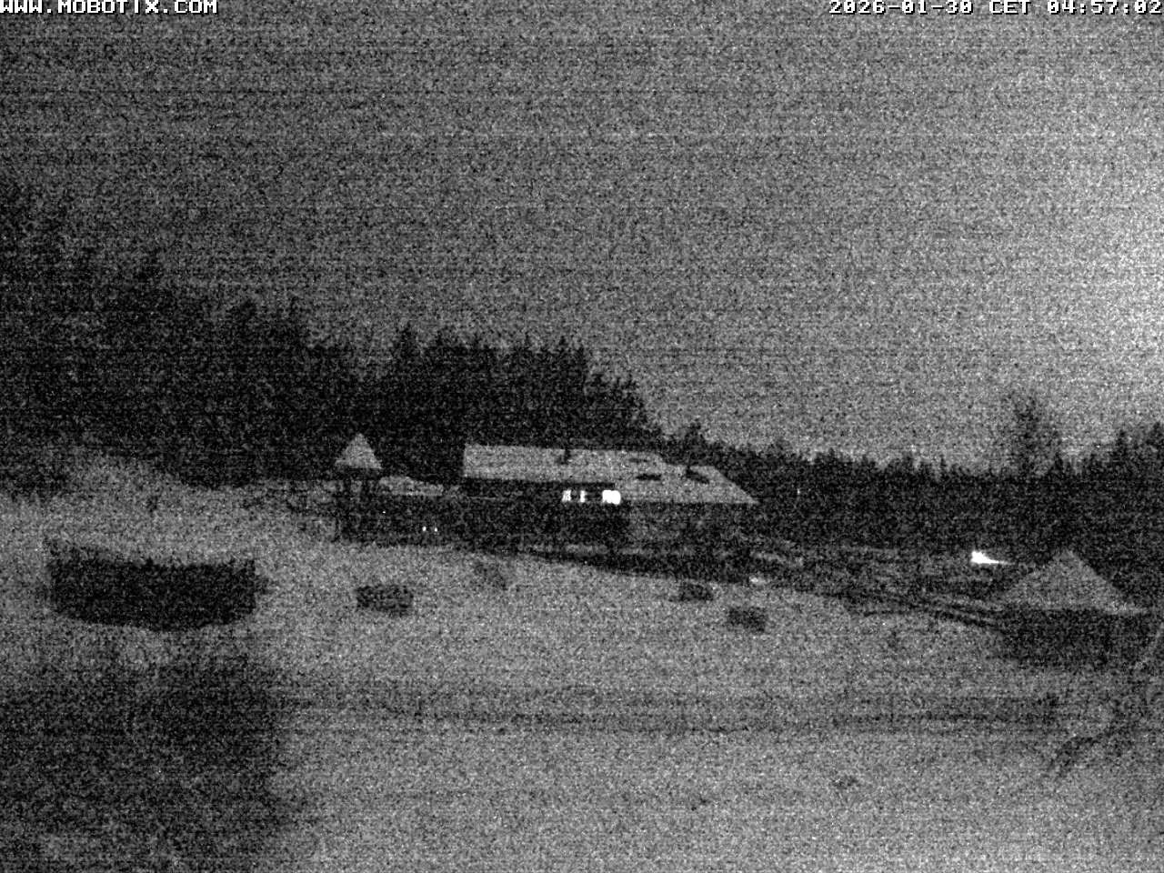 Archiv Foto Webcam Blick zur Talstation am Hohenbogen