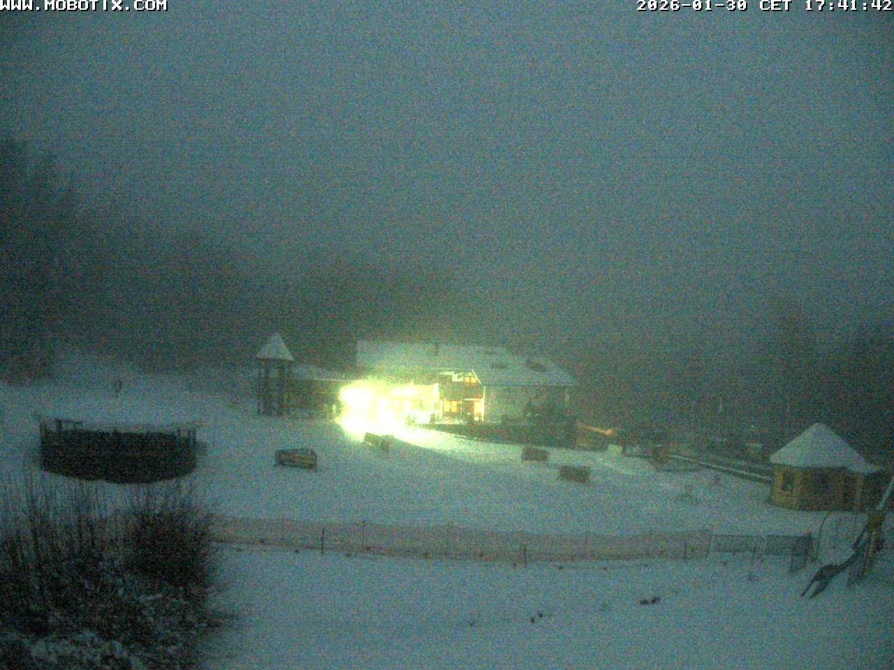 Archiv Foto Webcam Blick zur Talstation am Hohenbogen