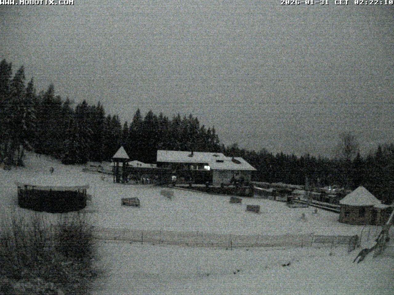 Archiv Foto Webcam Blick zur Talstation am Hohenbogen