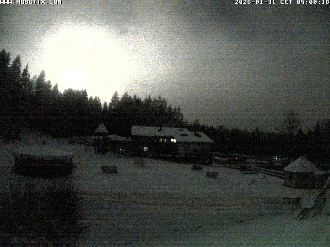 Archiv Foto Webcam Blick zur Talstation am Hohenbogen