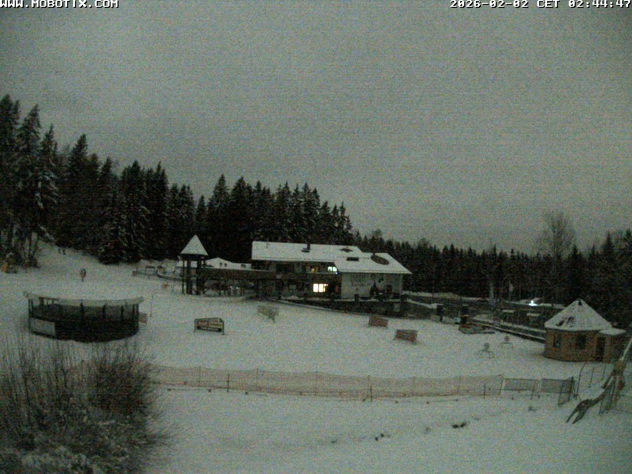 Archiv Foto Webcam Blick zur Talstation am Hohenbogen