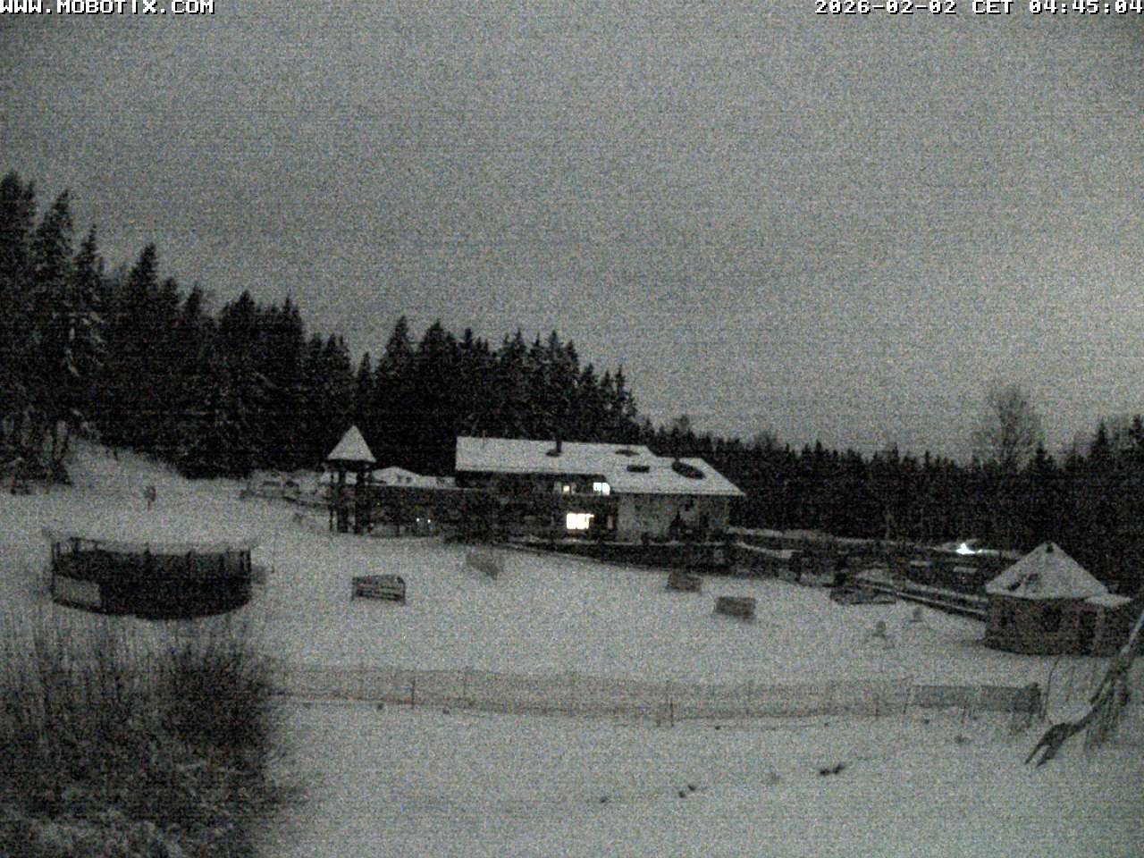 Archiv Foto Webcam Blick zur Talstation am Hohenbogen